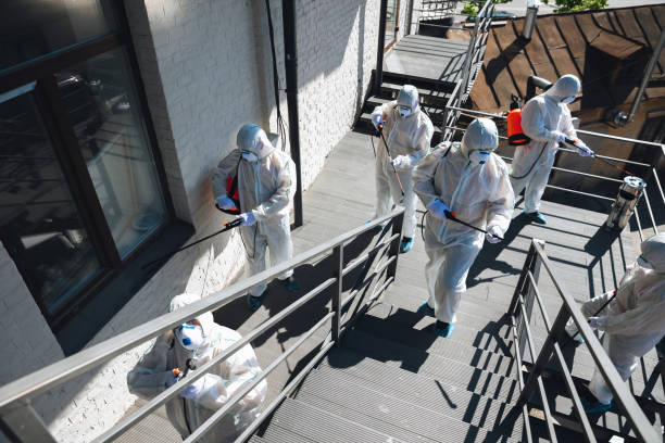 Trusted Oxoboxo River, CT Mold Removal Experts