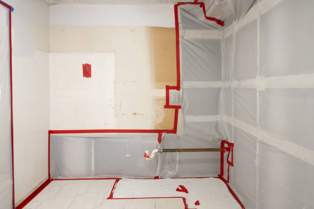 Mold Odor Removal Services in Oxoboxo River, CT