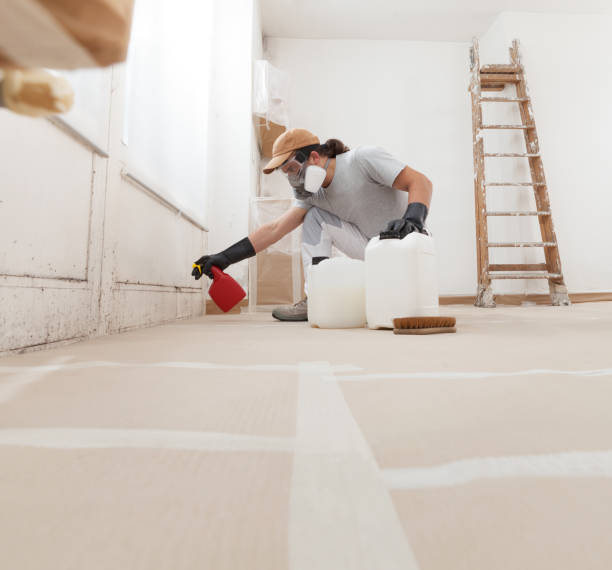 Best Mold Damage Restoration  in Oxoboxo River, CT