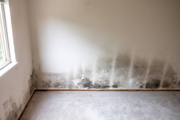 Best Indoor Air Quality Assessment  in Oxoboxo River, CT